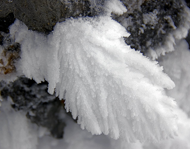 feathered rime